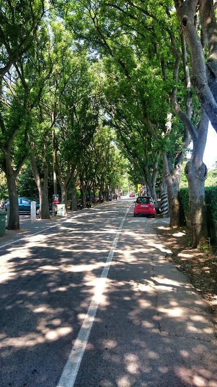 Apartment Borik Beach 86 Zadar Oda fotoğraf